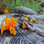 50bo直播平台全新上线,精彩内容不容错过 2k8t1