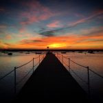 深入探讨196vip1.app:全新在线娱乐平台的魅力与特色 95wsz