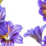 深入分析皇城娱乐平台注册网站的游戏种类与玩法 g58dek