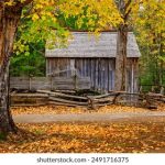 深入分析金百利的投资策略与风险管理方法 kwsm81c