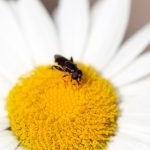 51开奖预测最新精准分析:助你掌握中奖先机 yxwal