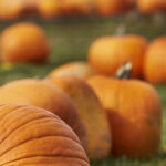 kj006开奖网现场开奖直播全程高清实时放送 6ker0vllld